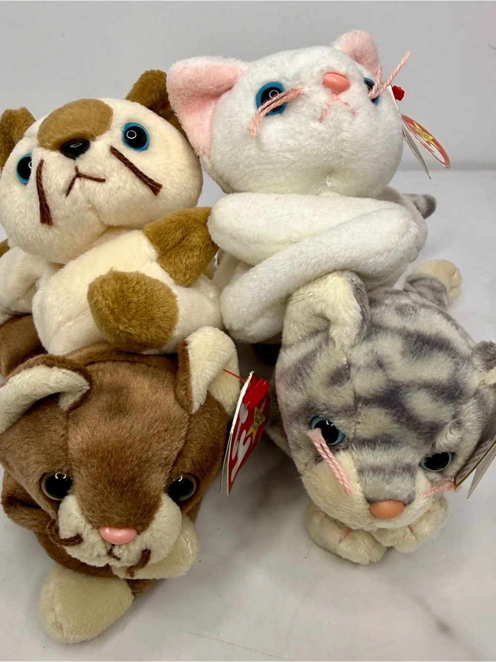 TY Beanie Babies Cat Plush Set